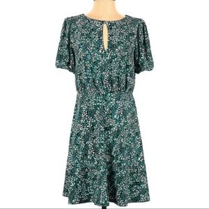 New with Tags Ann Taylor Loft Floral Spring Dress